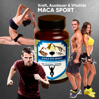Maca Sport 100